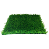 TEX-WML2511775-SPV