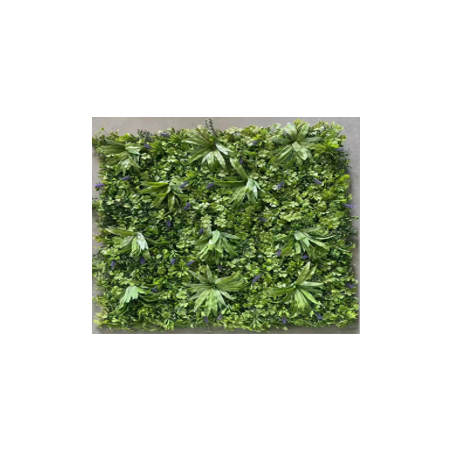 ZHI FAN