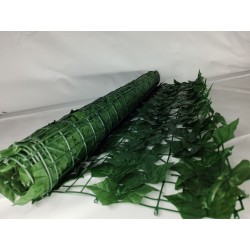 Valla Priv. Hoja de Potos