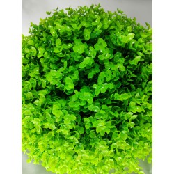 Bola Eucalipto Verde