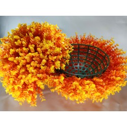 Bola Eucalipto Naranja