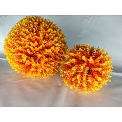 Bola Eucalipto Naranja