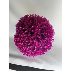 Bola de Eucalipto Purpura