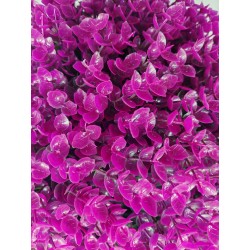 Bola de Eucalipto Purpura