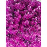 Bola de Eucalipto Purpura