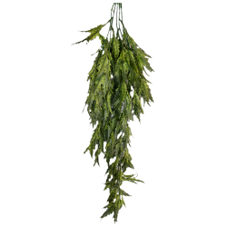 Planta colgante plerandra artifical