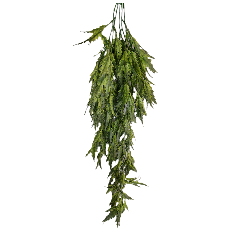 Planta colgante plerandra artifical