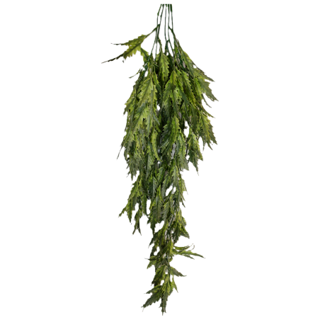 Planta colgante plerandra artifical