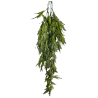 Planta colgante plerandra artifical