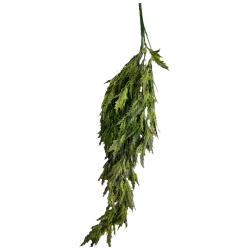 Planta colgante plerandra artifical
