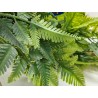 Planta colgante helecho artificial