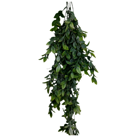 Planta colgante camellia  artificial