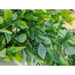 Planta colgante camellia  artificial