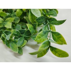 Planta colgante camellia  artificial