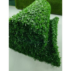 Seto Artificial