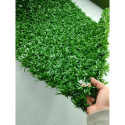 Seto Artificial